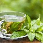 Zeleni čaj je naravni antiseptik 