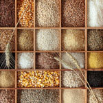 Soja je ena izmed najpogostejših žitaric, ki povzročajo alergije. Sledi ji pšenica, ki je skupaj z drugimi žitaricami, ki vsebujejo gluten