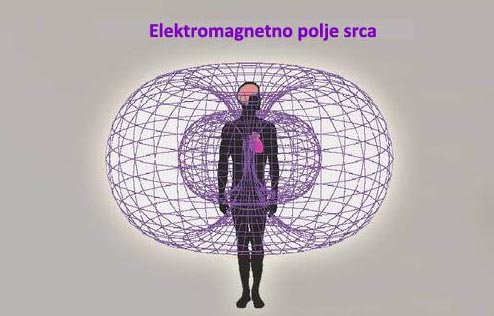 elektromagnetno polje srca