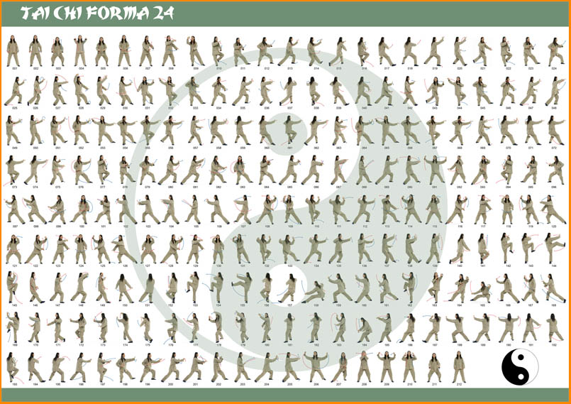 TaiJi Quan Forma 24